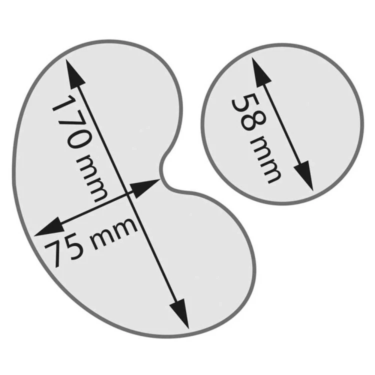 Szatkownica do warzyw, CL50, P 0.55 kW, U 230 V - zdjęcie 4